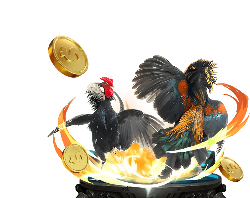 Đá Gà Trực Tuyến Dabet Live